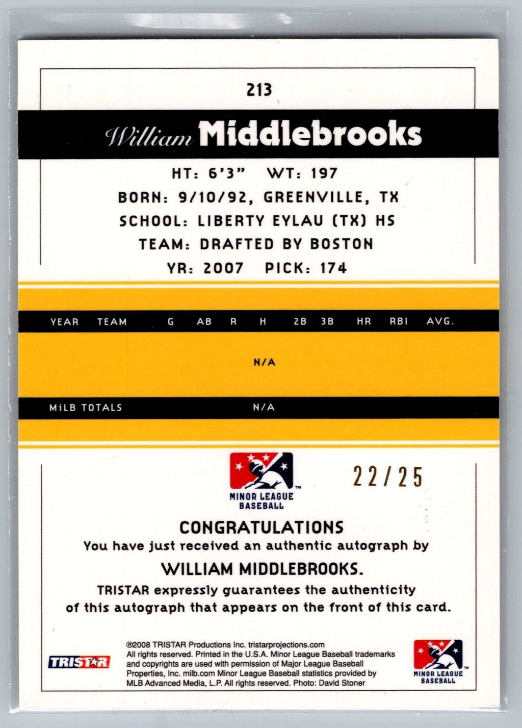 2008 TRISTAR PROjections Auto Reflectives Yellow #213 William Middlebrooks 22/25