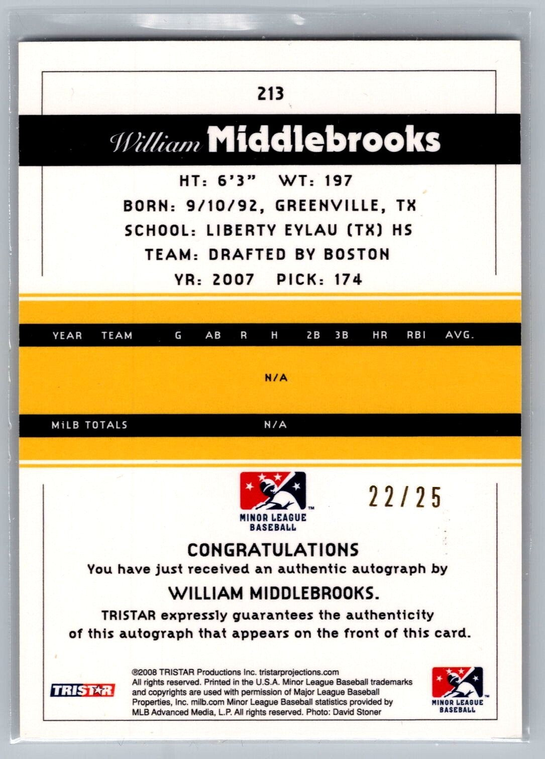 2008 TRISTAR PROjections Auto Reflectives Yellow #213 William Middlebrooks 22/25